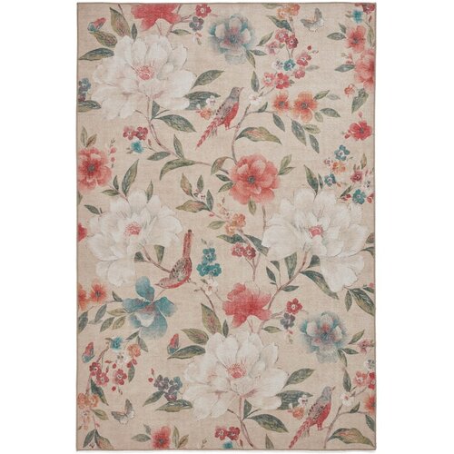 Catherine Lansfield Bež periv tepih 122x170 cm Pipa Floral – Cijene