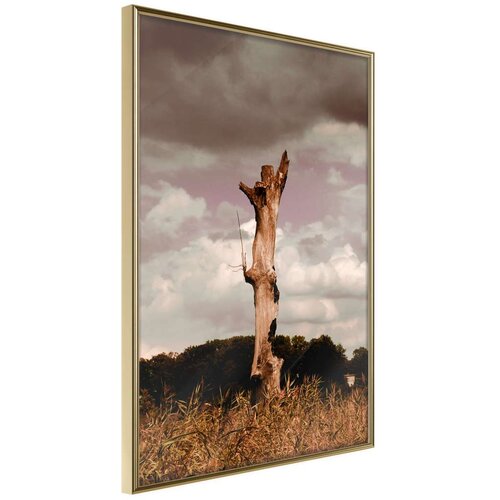  Poster - Loneliness in Nature 30x45 Slike