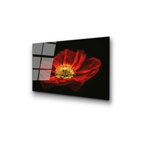 Wallxpert dekorativna slika od kaljenog stakla cvetan cvet crvenog maka (uv 204) 70 x 100cm Slike