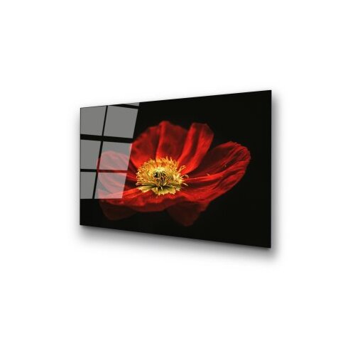 Wallxpert Slika od kaljenog stakla 70x100cm Slike
