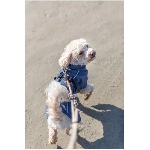 Trixie kabanica za pse BE NORDIC Husum 50 cm Slike