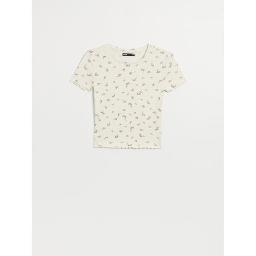 House - Ladies` t-shirt - Prugasta Slike