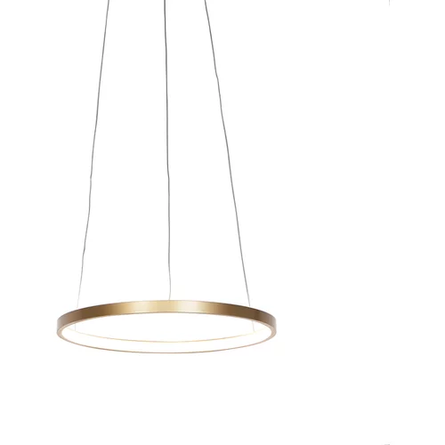 Leuchten Direct Moderna obročasta viseča svetilka zlata 40 cm z LED - Anella