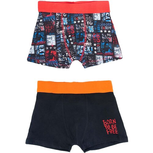 Yoclub Boy&amp;#039;s boxers 2PACK Slike