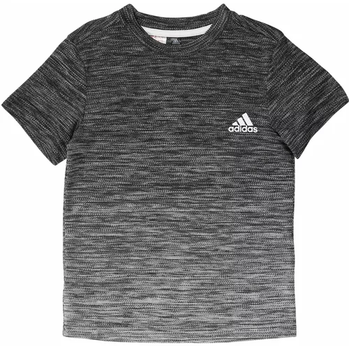 Adidas Funkcionalna majica antracit / svetlo siva / temno siva / bela