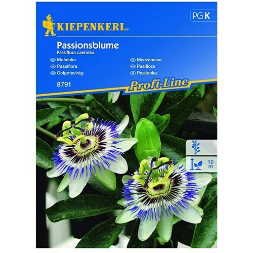 KIEPENKERL Cvetlična semena Pasijonka (Passiflora caerulea, Bela, Modra, Roza) Cene