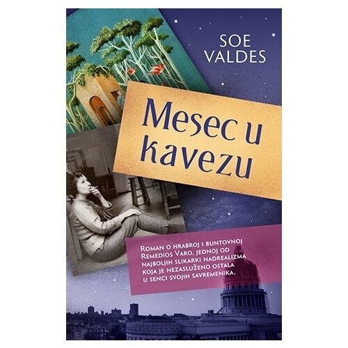 Laguna Soe Valdes - Mesec u kavezu Cene