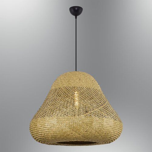 Conceptum Hypnose luster 4461-14-25, 120cm, 60 cm 24W, E27, Smeđi Cene