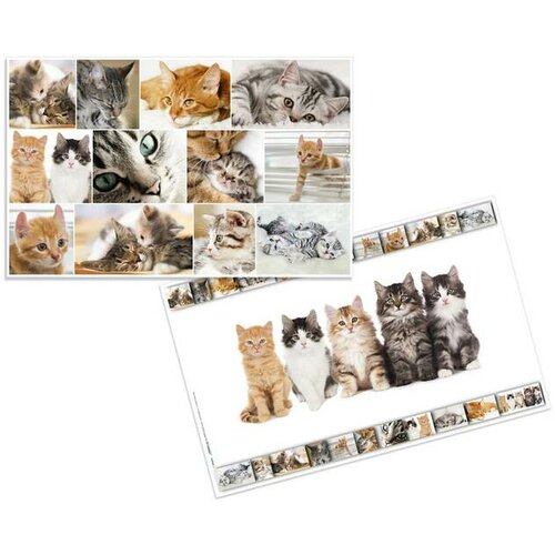 Herma Podloga za sto Cats 550x350mm šarena Slike