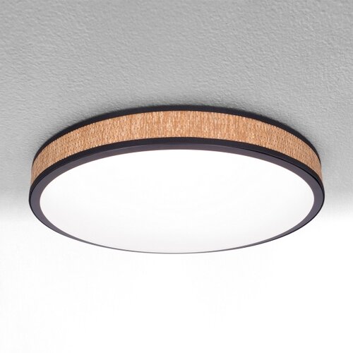  Brilagi - LED prigu&amp;scaron;iva stropna svetiljka ROSA LED/48W/230V 3000-6500K + DO Slike