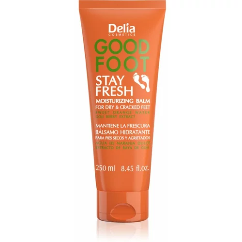 Delia Cosmetics Good Foot Stay Fresh vlažilni balzam za noge 250 ml