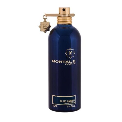 Montale Blue Amber 100 ml parfumska voda Tester unisex Cene