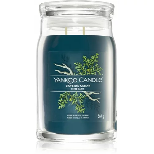 Yankee Candle Bayside Cedar mirisna svijeća I. Signature 567 g