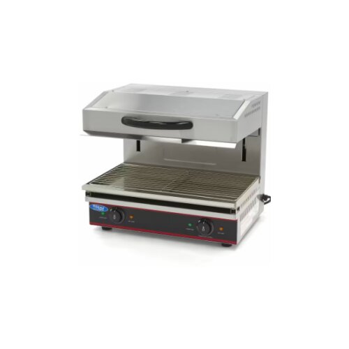 Salamander 59 x 32cm Slike