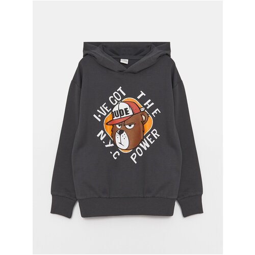 LC Waikiki Printed Long Sleeve Boys&amp;#039; Hoodie Slike