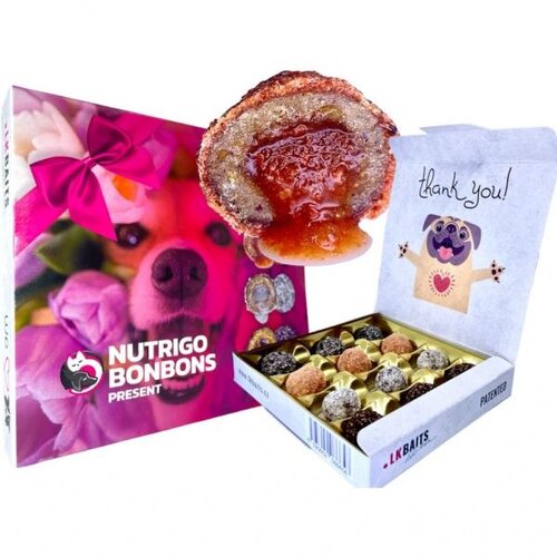 LK Baits Pets LK Baits NUTRIGO Bonbons Holiday Gift Box Large Cene