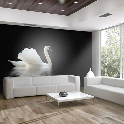  tapeta - swan (black and white) 250x193