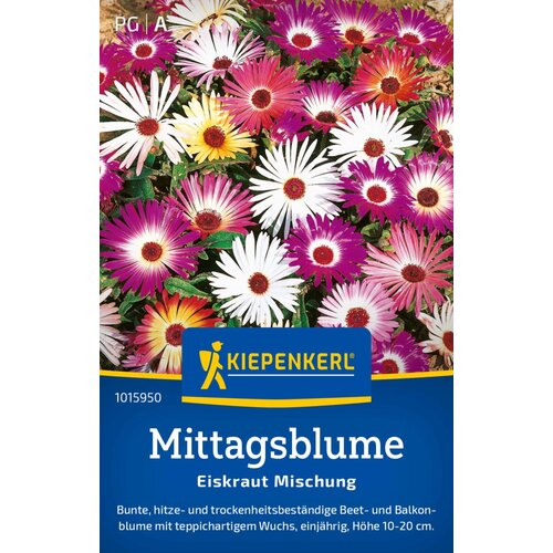 KIEPENKERL Hardy Iceplant "bujna mešanica" - 1 pkt. Cene