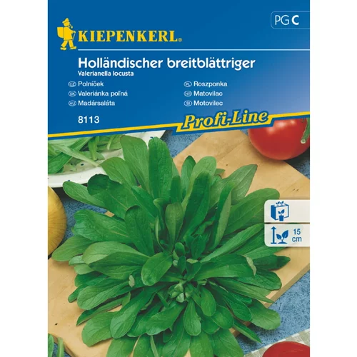 KIEPENKERL Širokocvetni motovilec Holländischer breitblättiger Kiepenkerl (Valerianella locusta)