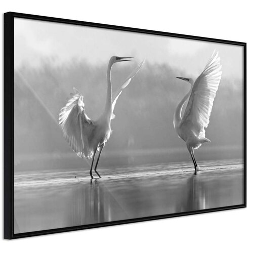  Poster - Black and White Herons 45x30 Slike