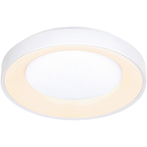 Novel stropna led-svetilka 50/8,5 cm Cene
