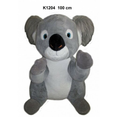 Koala ( 160256 ) Slike