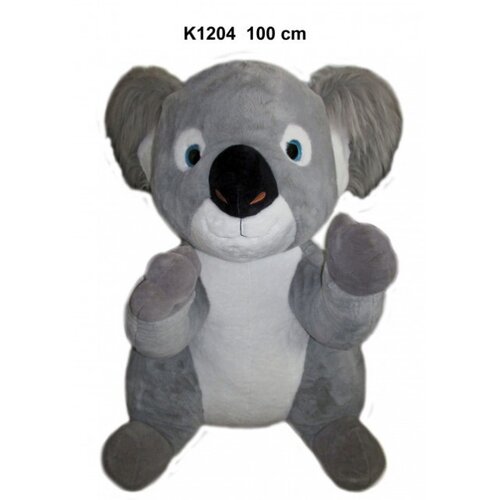  Koala ( 160256 ) Slike