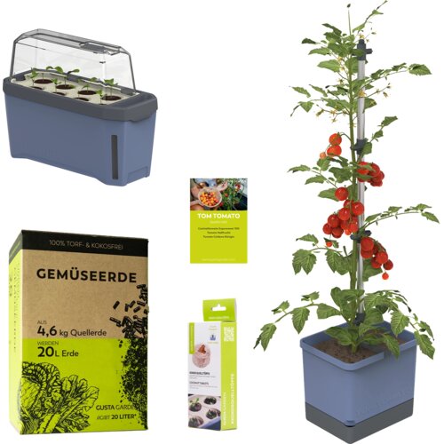 Gusta Garden TOM TOMATO Starter Set - modra Slike
