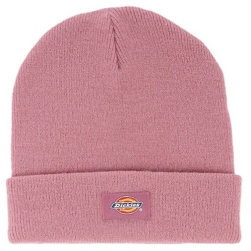 Dickies DK0A4X7K Ružičasta Cijene