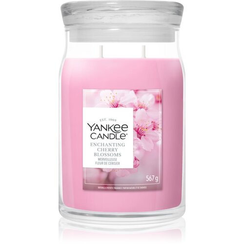 Yankee Candle Enchanting Cherry Blossom mirisna svijeća 567 g Cijene