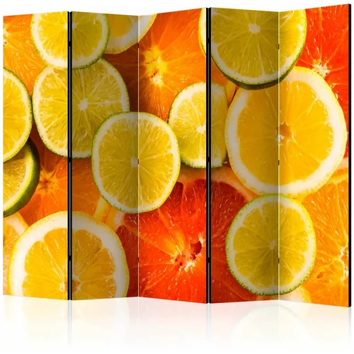  Paravan u 5 dijelova - Citrus fruits II [Room Dividers] 225x172