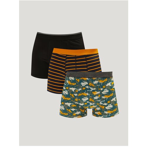 LC Waikiki boxer shorts - multicolor - 3-pack Slike