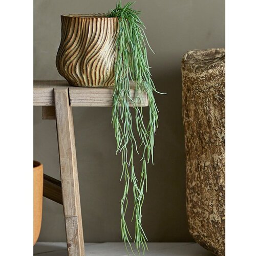 Bloomingville Umetna rastlina (vi&amp;scaron;ina 110 cm) Tilandsia &amp;ndash; Slike