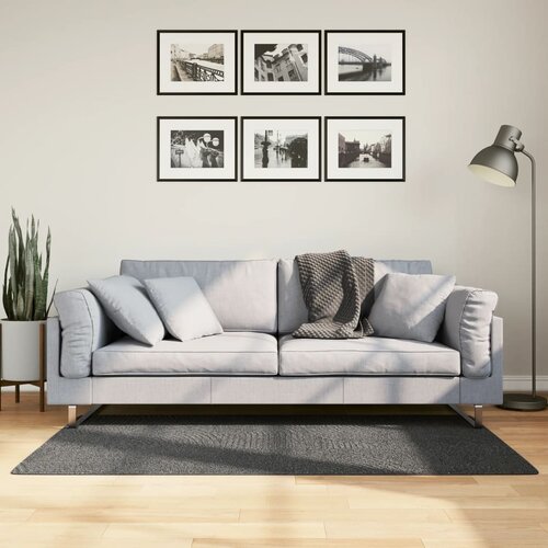vidaXL Preproga IZA skandinavski videz antracitna 80x150 cm Cene