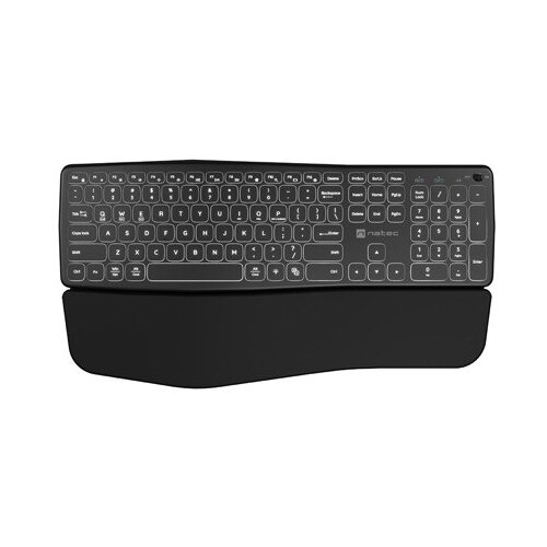 Natec PORIFERA keyboard Home /Office Bluetooth QWERTY US International Black Cijene
