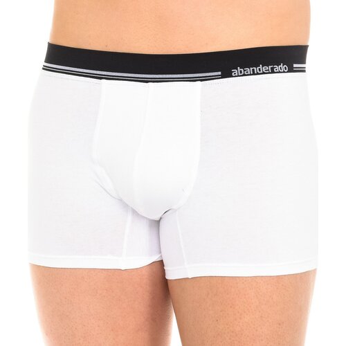 Abanderado A077I-001 Multicolour Slike