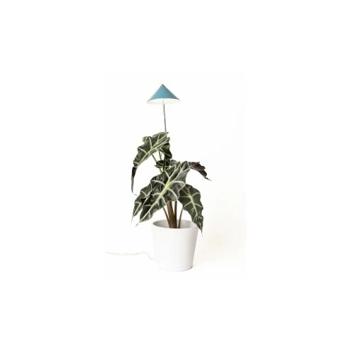 Venso LED svjetlo za rast biljaka SUNLiTE 7 W Petrol 230 V LED fiksno ugrađena 7 W 1 St. Cijene