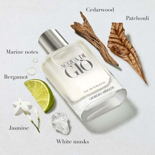 Parfem za muškarce Giorgio Armani Acqua di Gio 100 ml Cijene