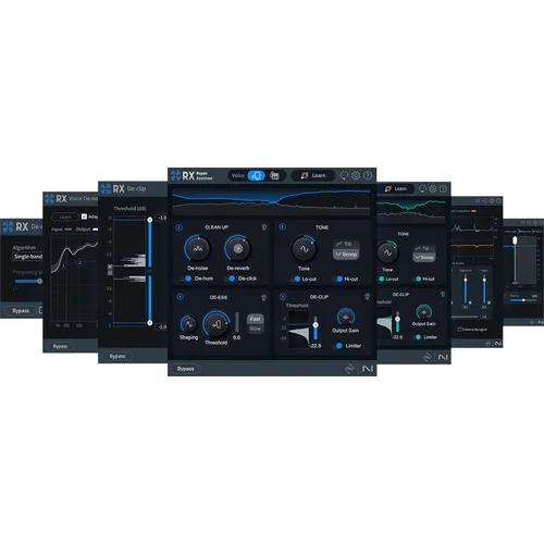 iZotope RX 11 Elements EDU (Digitalni proizvod)