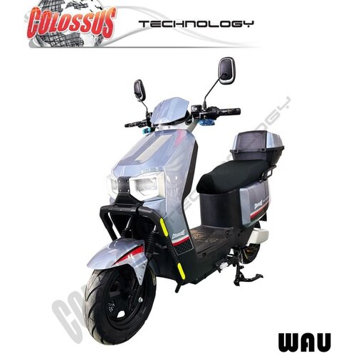 Colossus Elektični bicikl srebrni WAU Cene