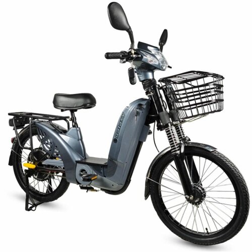 Galaxy električni bicikl 22" GLX-A-3 250W 48V/12Ah siva Cene