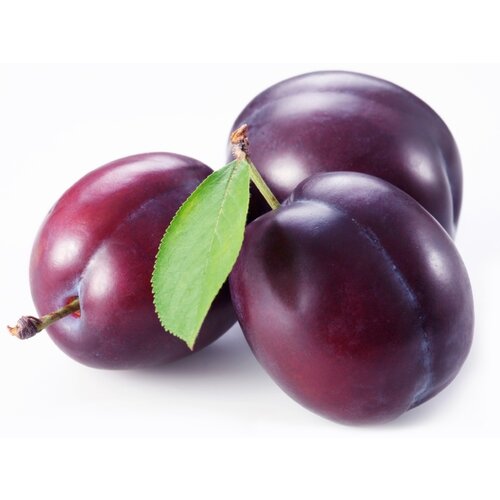  &Scaron;ljiva 1kg Cene