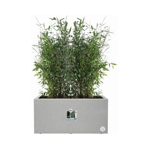 ELHO Korito za rastline vivo next dolžina - 60 cm Cene