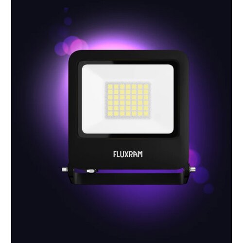Fluxram wise led reflektor 30W 6000K IP65 (546890) Cene