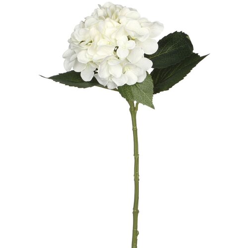 MICA Umjetni cvijet Hortenzija (Visina: 51 cm, Blanca, Plastika) Cijene