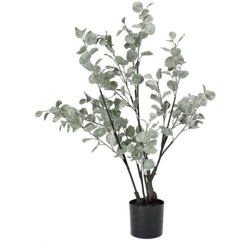  EUKALIPTUS 82CM U SAKSIJI PVC BIZZOTTO Cijene