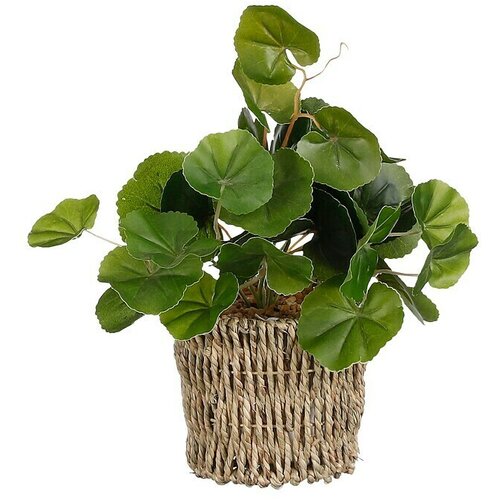  Umjetna biljka Pilea (Ø x V: 12 x 33 cm, Plastika) Cijene