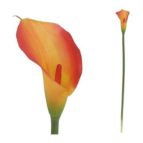 Kala 72CM BIJELA Cijene