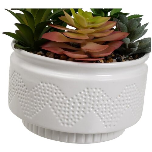Casa Selecci&amp;oacute;n Umetne rastline v kompletu 2 ks (vi&amp;scaron;ina 19 cm) Cactus &amp;ndash; Slike
