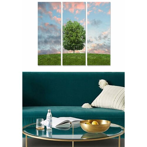 Wallity Set slika MDF895935, 3 dijela Cene